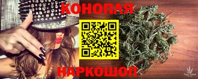 стаф Славгород