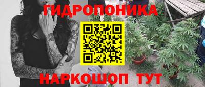 ALPHA PVP Сланцы