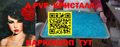 стаф Славгород